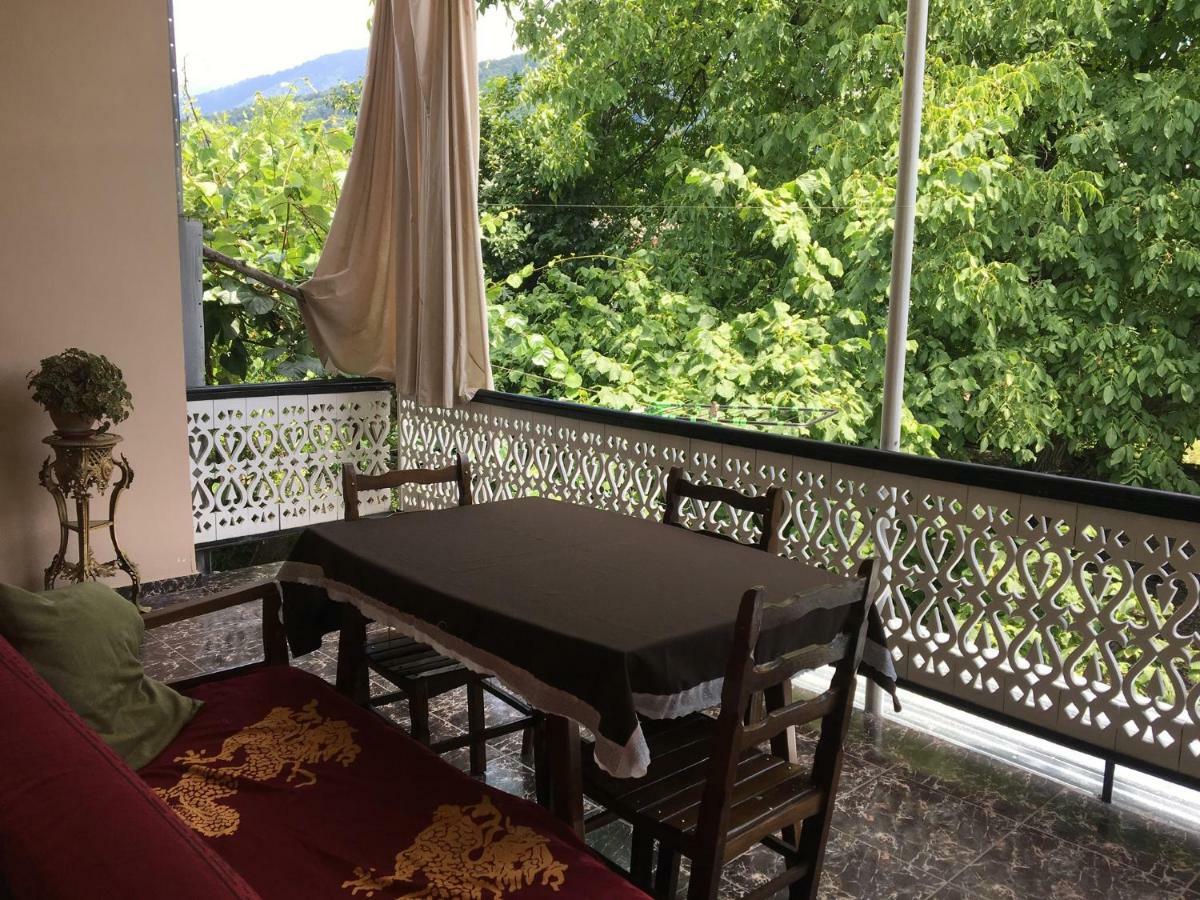 Guesthouse Aisi In Lagodekhi Eksteriør billede